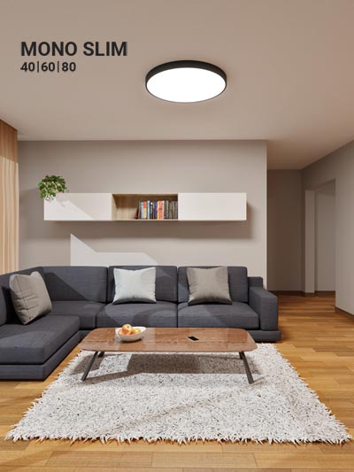 MONO SLIM